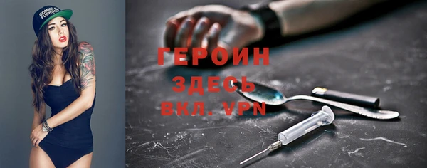 индика Кинешма