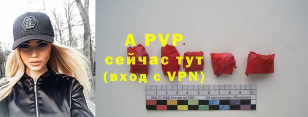индика Кинешма