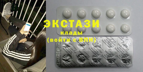 индика Кинешма