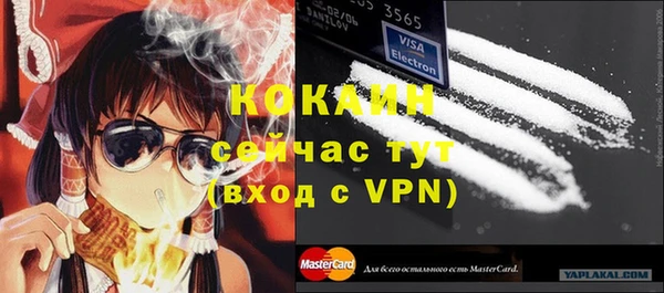 индика Кинешма