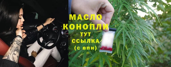 индика Кинешма