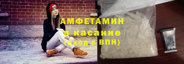 индика Кинешма