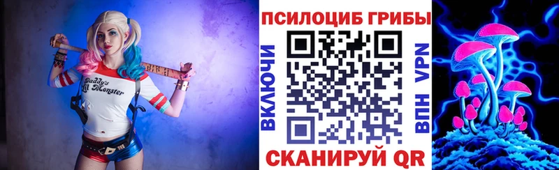 Псилоцибиновые грибы GOLDEN TEACHER  Купить где  Донецк 